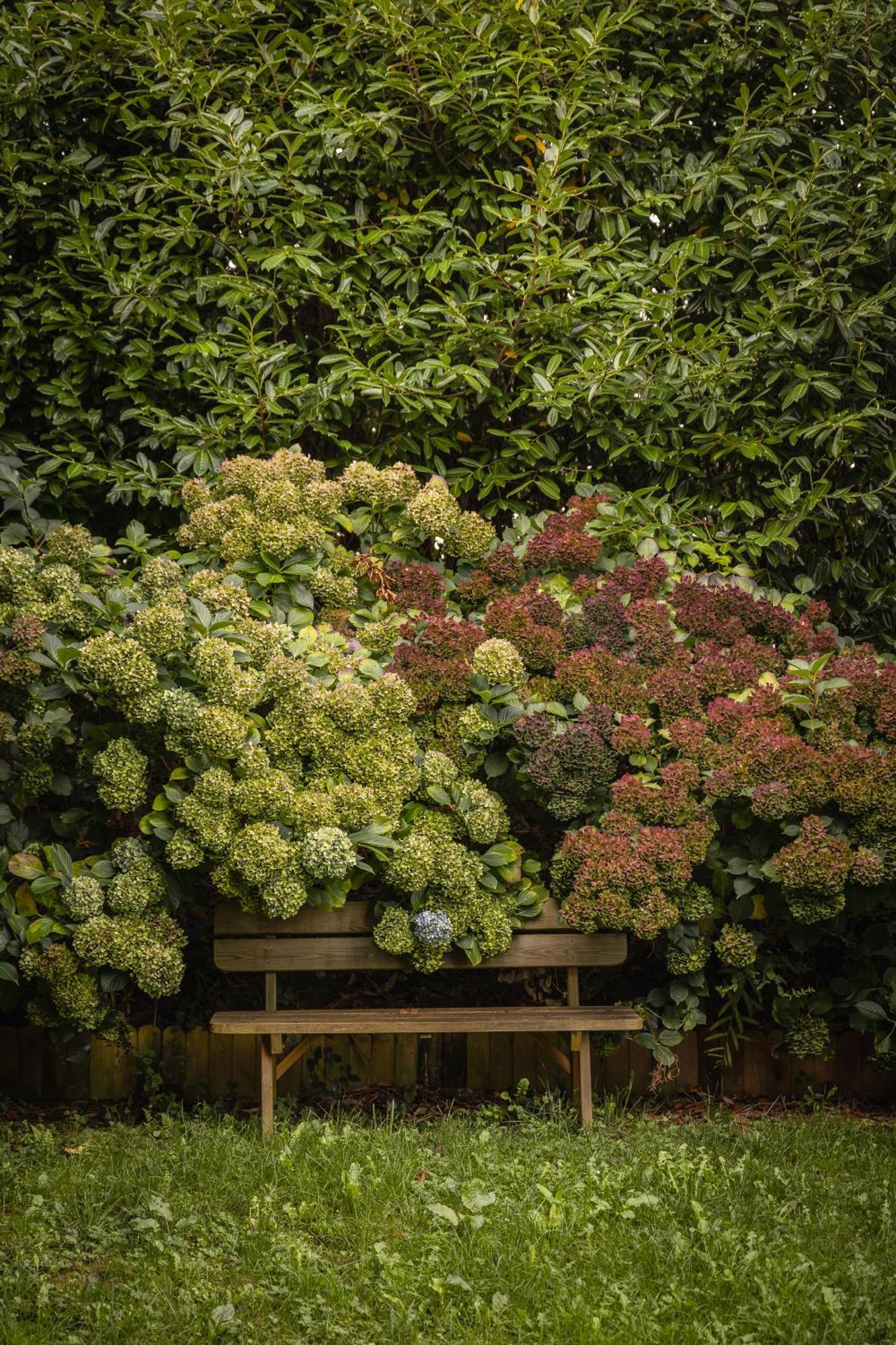 Le Jardin Enchanteur